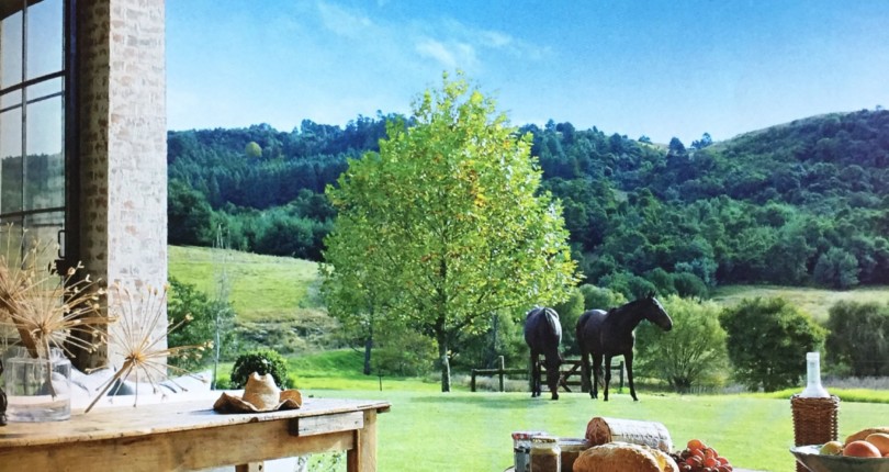 Uma Paisagem de Cinema